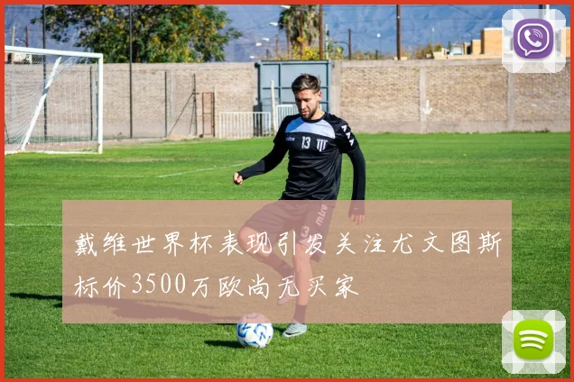 戴维世界杯表现引发关注尤文图斯标价3500万欧尚无买家